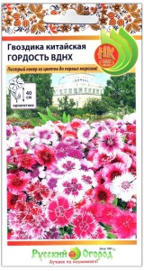 Гвоздика китайская Гордость ВДНХ