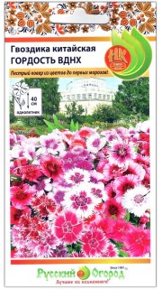 Гвоздика китайская Гордость ВДНХ