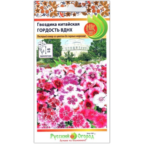Гвоздика китайская Гордость ВДНХ