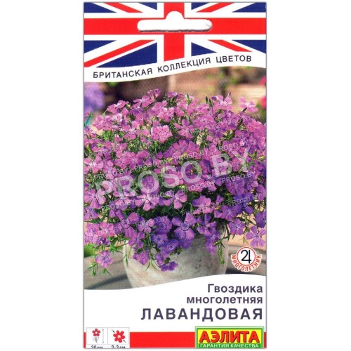 Гвоздика многолетняя Лавандовая