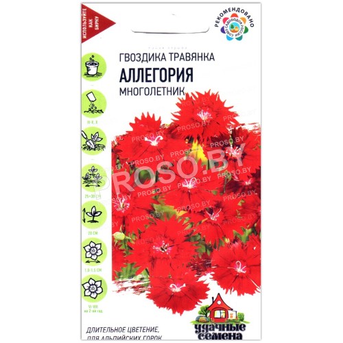 Гвоздика травянка Аллегория