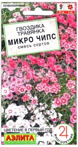 Гвоздика травянка Микро чипс, смесь