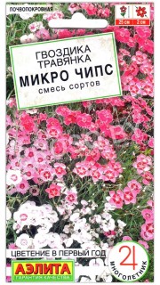 Гвоздика травянка Микро чипс, смесь