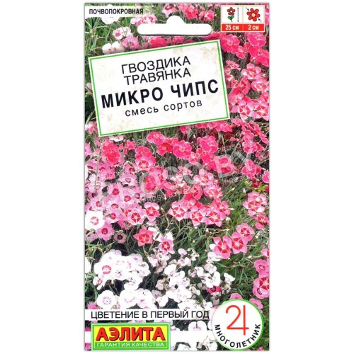 Гвоздика травянка Микро чипс, смесь