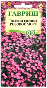 Гвоздика травянка Розовое море
