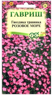 Гвоздика травянка Розовое море