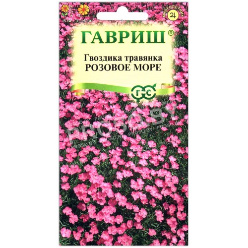 Гвоздика травянка Розовое море