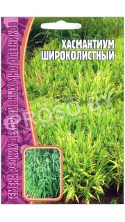 Хасмантиум Широколистный