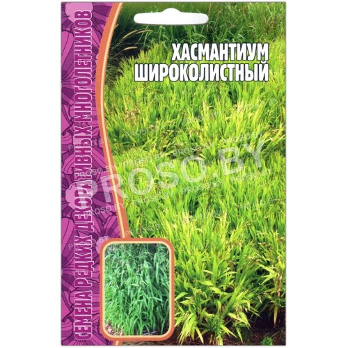 Хасмантиум Широколистный