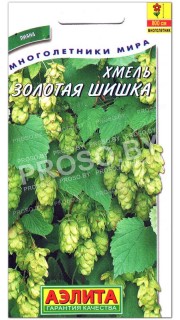 Хмель Золотая шишка