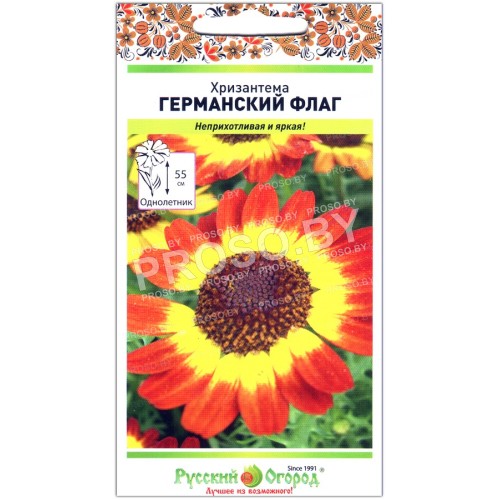 Хризантема Германский флаг