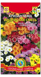 Хризантема Индийская смесь