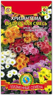 Хризантема Индийская смесь