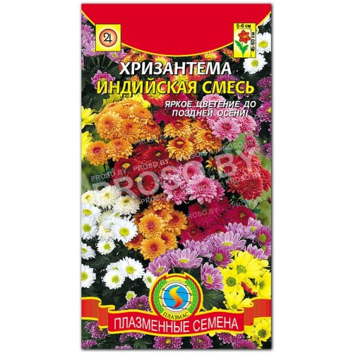 Хризантема Индийская смесь