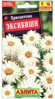 Хризантема Эксибишн