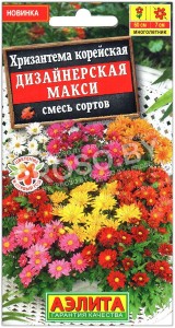 Хризантема корейская Дизайнерская макси, смесь