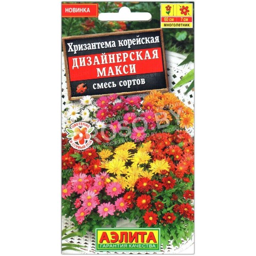 Хризантема корейская Дизайнерская макси, смесь