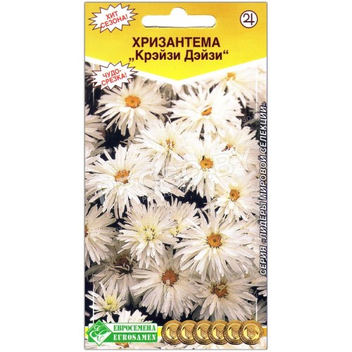 Хризантема Крэйзи Дэйзи