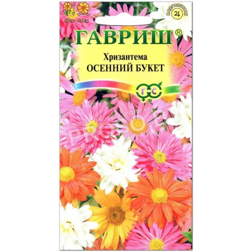 Хризантема Осенний букет