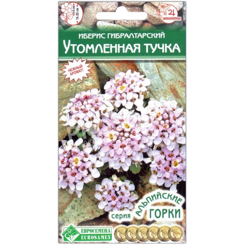 Иберис гибралтарский Утомленная тучка