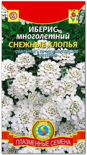 Иберис многолетний Снежные хлопья