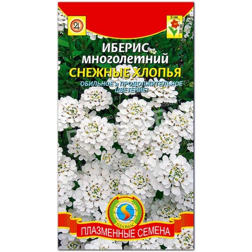 Иберис многолетний Снежные хлопья