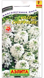 Иберис Сноуфлейк