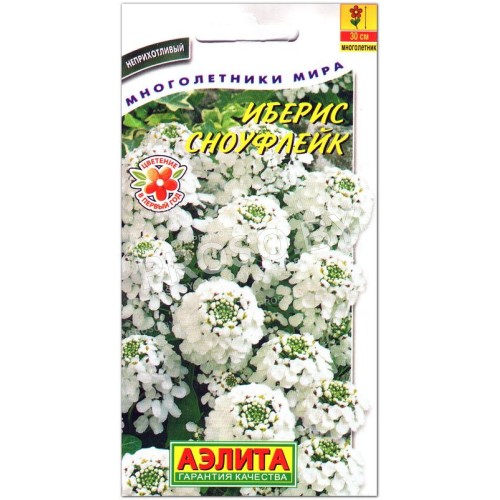 Иберис Сноуфлейк