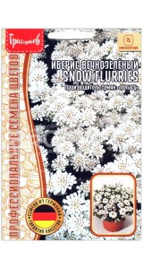 Иберис вечнозеленый Snow flurries