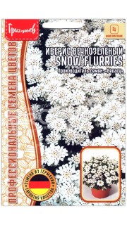 Иберис вечнозеленый Snow flurries