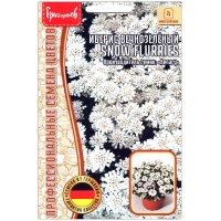 Иберис вечнозеленый Snow flurries