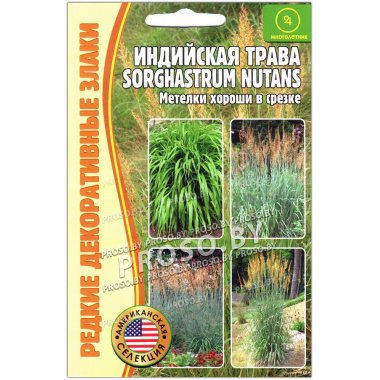 Индийская трава (sorghastrum nutans)