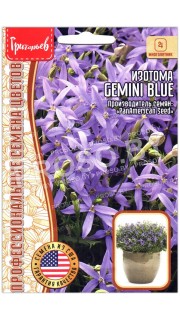 Изотома Gemini blue