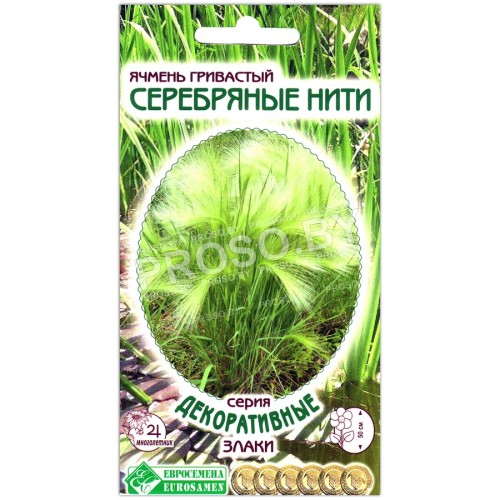 Ячмень гривастый Серебряные нити