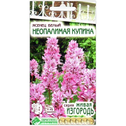 Ясенец (диктамнус) Неопалимая купина-2