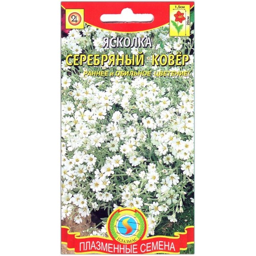 Ясколка Биберштейна-1