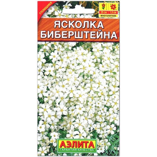 Ясколка Биберштейна