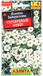 Ясколка Серебряный ковер