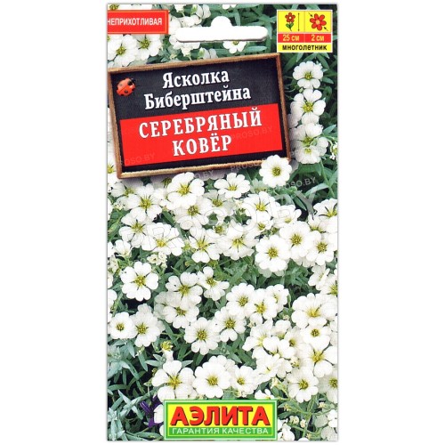 Ясколка Серебряный ковер