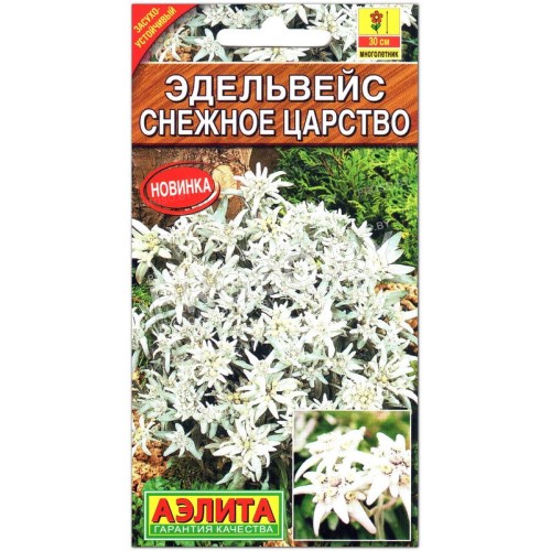 Эдельвейс Снежное царство