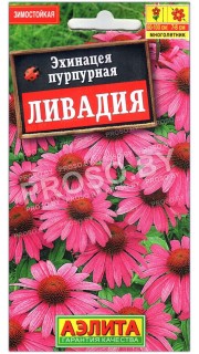 Эхинацея пурпурная Ливадия