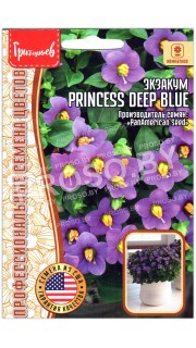 Экзакум Princess deep blue