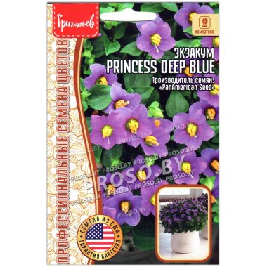 Экзакум Princess deep blue