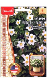 Экзакум Princess white