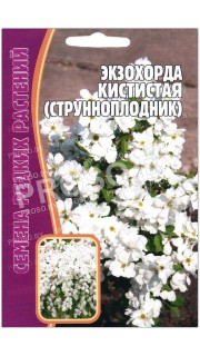 Экзохорда (струнноплодник) Кистистая