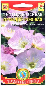 Энотера красивая Орхидно-розовая