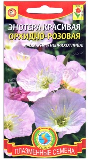 Энотера красивая Орхидно-розовая