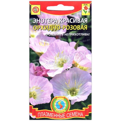 Энотера красивая Орхидно-розовая