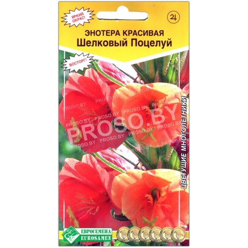 Энотера красивая Шелковый поцелуй