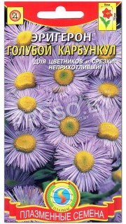 Эригерон Голубой карбункул